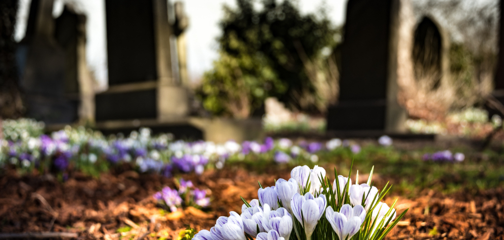 Do Gravestones Need To Be Cleaned 